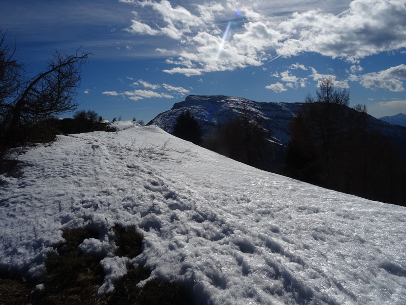 fenomeno attorno al sole : Alone solare.