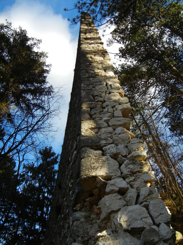 Castelli,Torri e Palazzi.....del Trentino