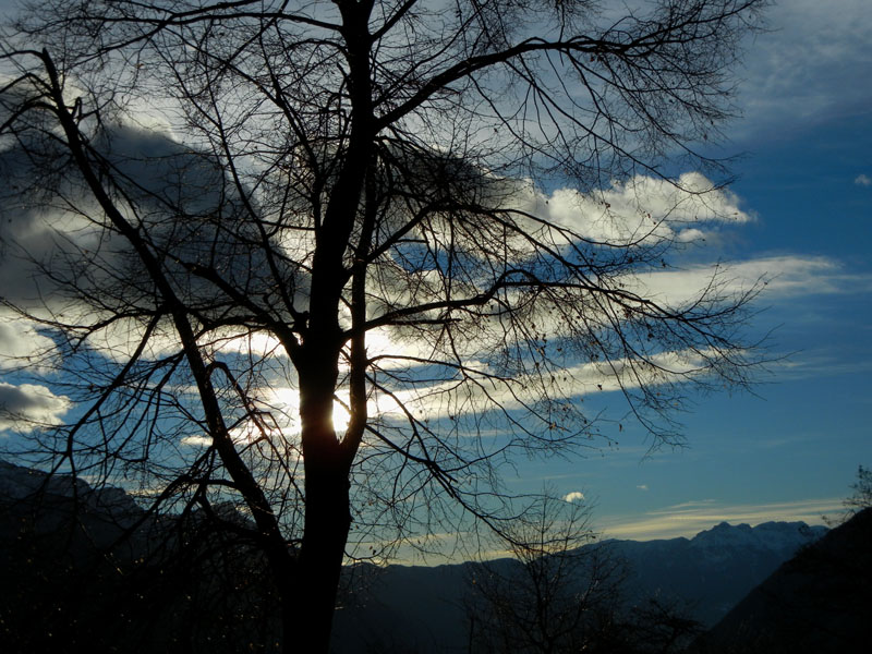 Castelli,Torri e Palazzi.....del Trentino