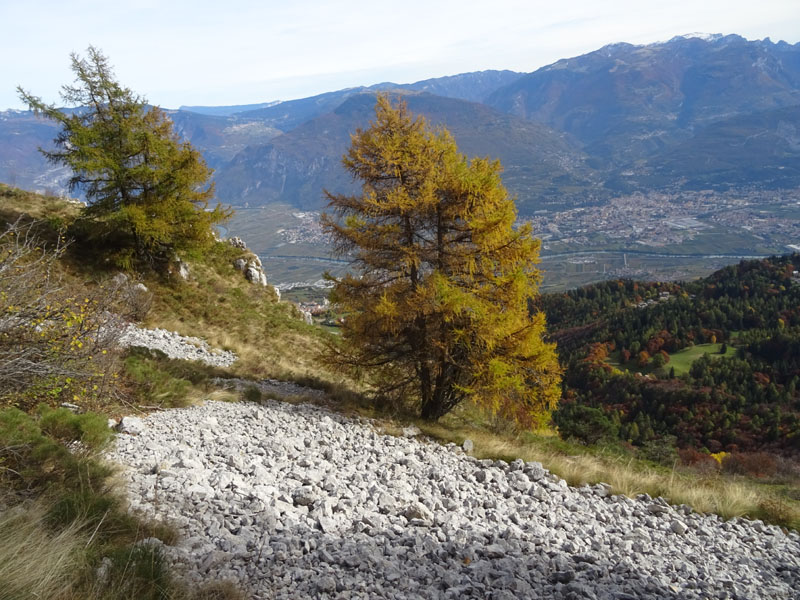 canalone Sud-Est (Geroni) .......del Monte Stivo