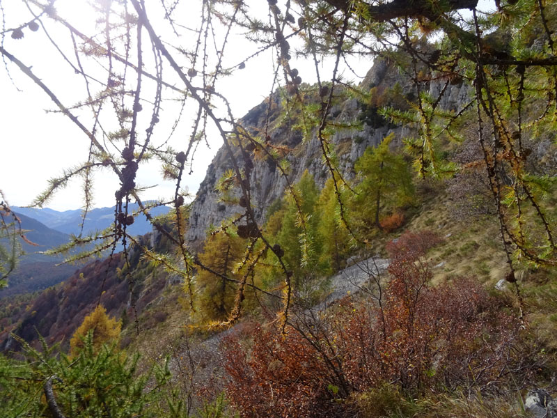 canalone Sud-Est (Geroni) .......del Monte Stivo