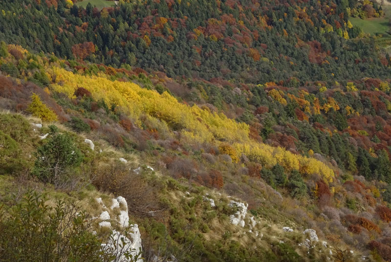 canalone Sud-Est (Geroni) .......del Monte Stivo