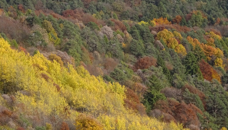 canalone Sud-Est (Geroni) .......del Monte Stivo