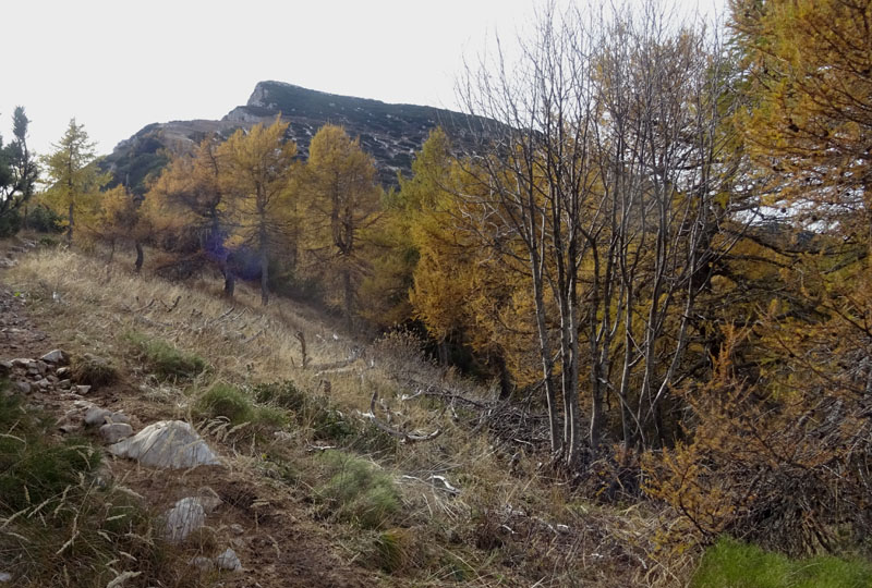 canalone Sud-Est (Geroni) .......del Monte Stivo