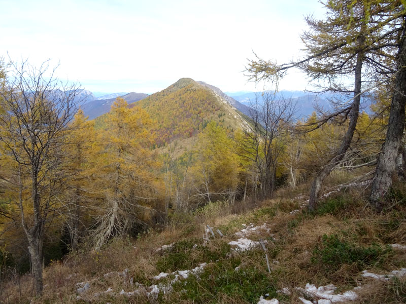 canalone Sud-Est (Geroni) .......del Monte Stivo