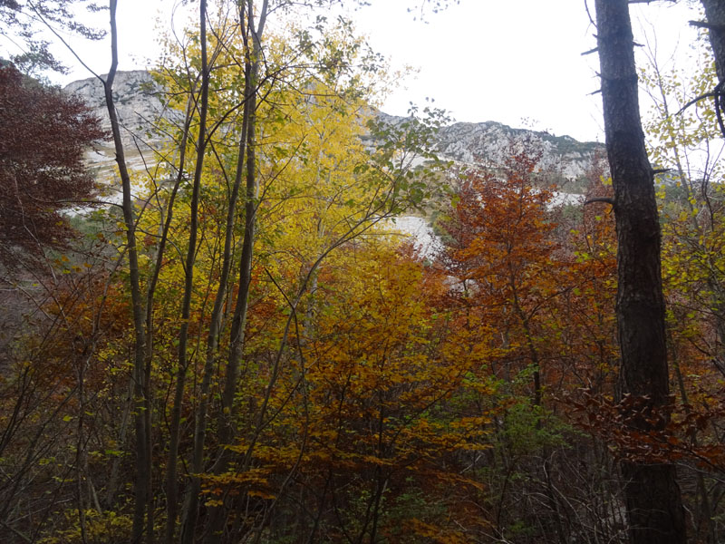 canalone Sud-Est (Geroni) .......del Monte Stivo