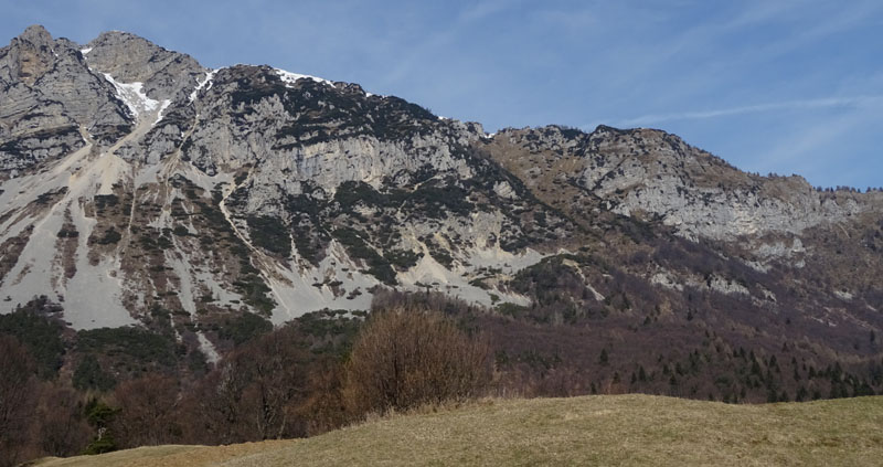 Rupicapra rupicapra.....dal Trentino Alto Adige