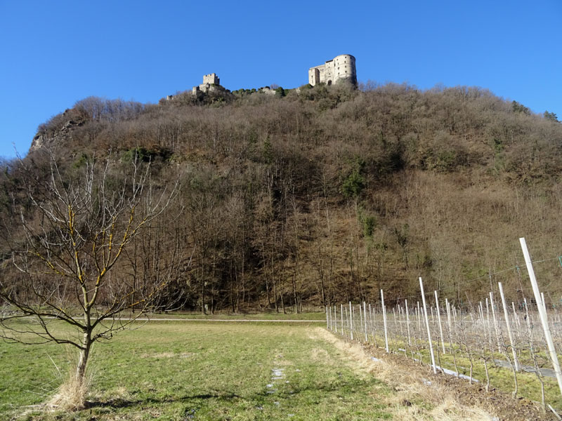 2 crop orrendi.......