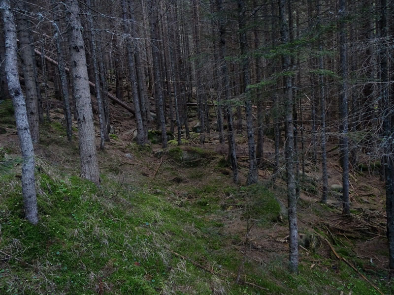 Val Lagorai