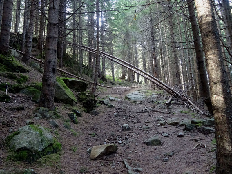 Val Lagorai