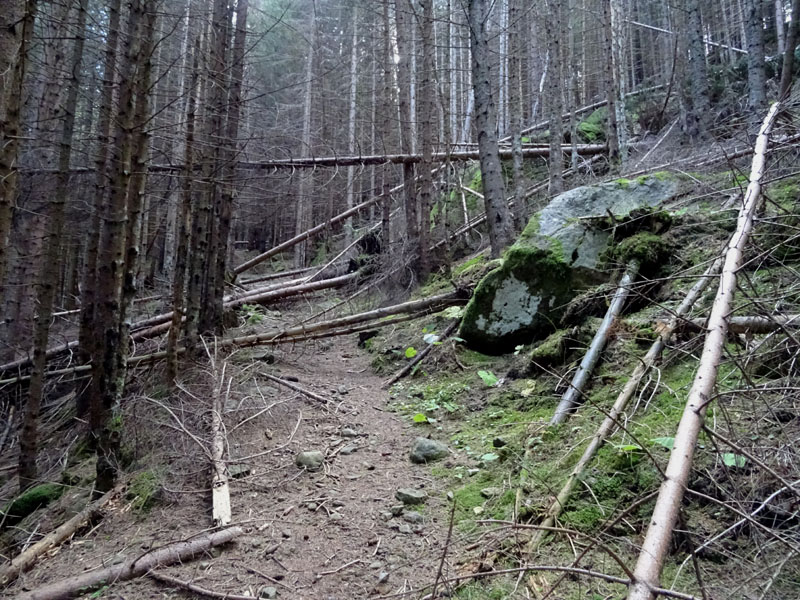 Val Lagorai