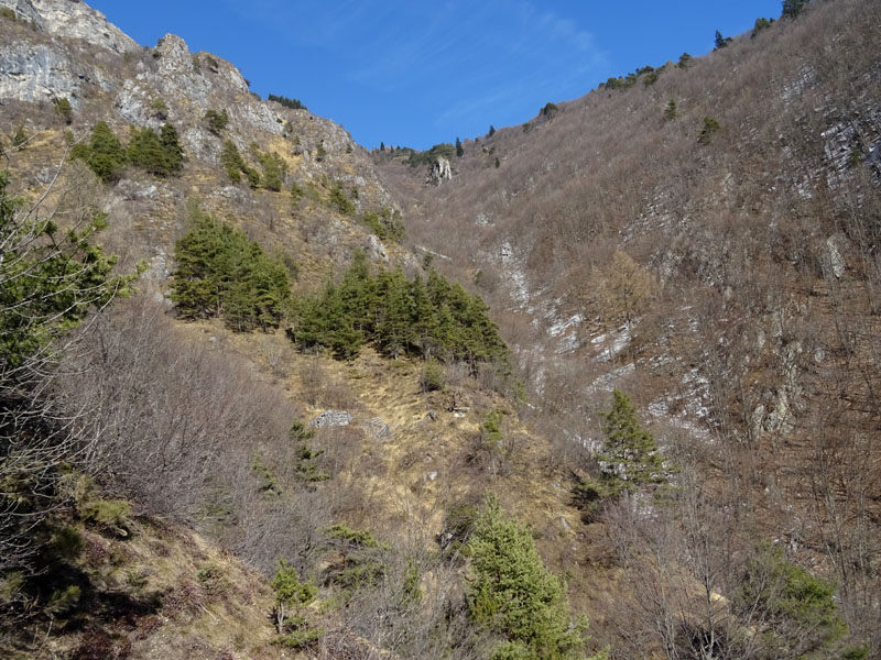 nido....da determinare