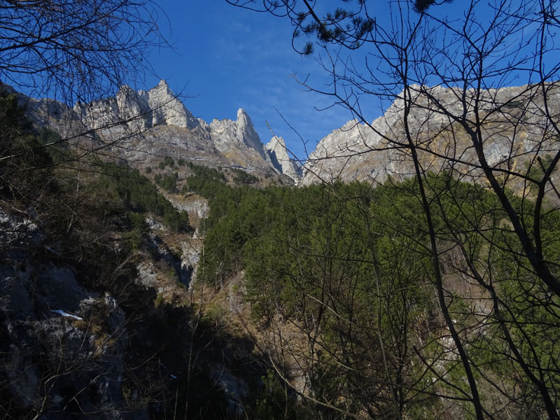 nido....da determinare