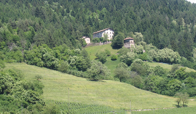 Castelli,Torri e Palazzi.....del Trentino