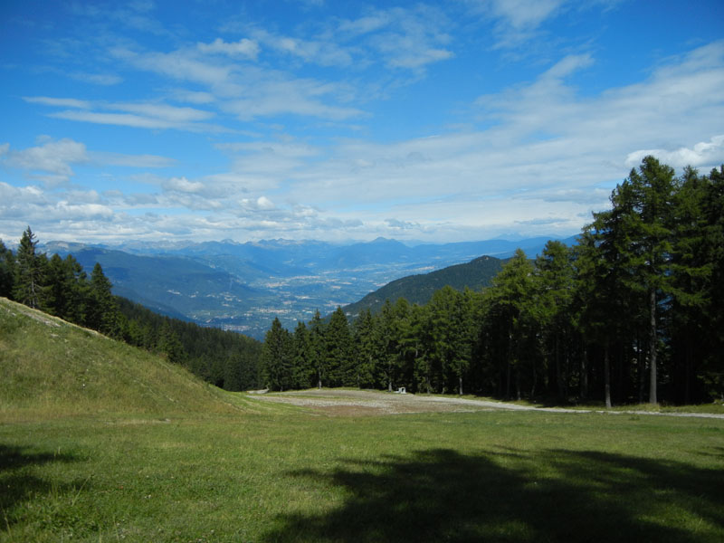 Rupicapra rupicapra.....dal Trentino Alto Adige