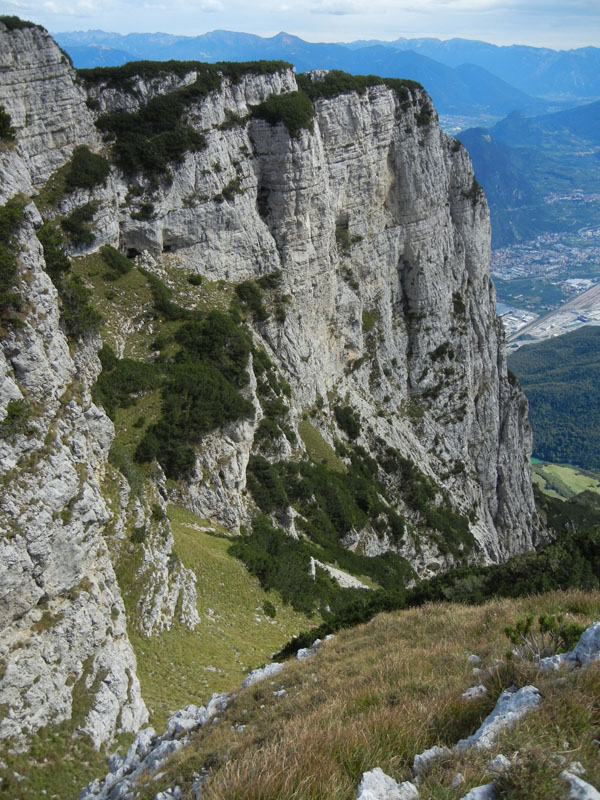 Rupicapra rupicapra.....dal Trentino Alto Adige