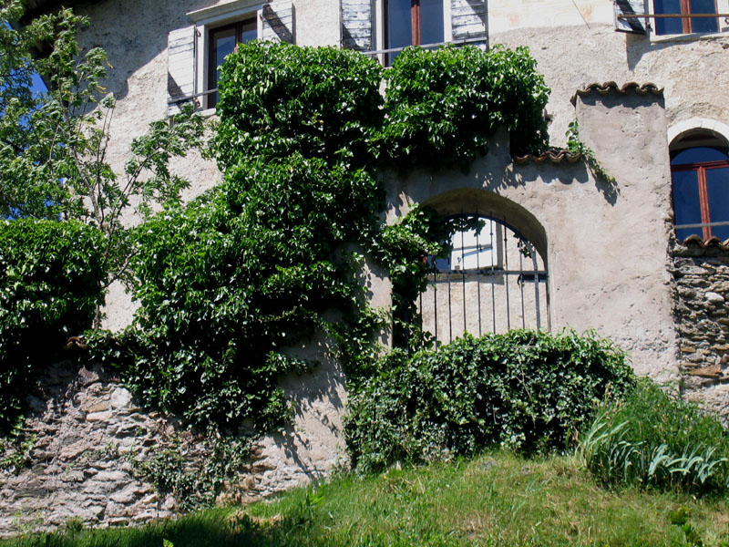 Castelli,Torri e Palazzi.....del Trentino