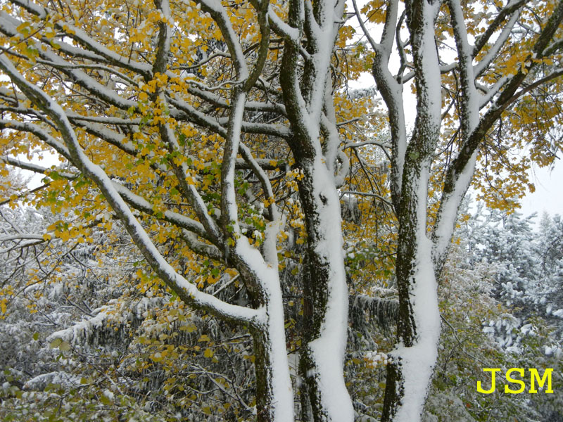 prima passeggiata sulla neve......