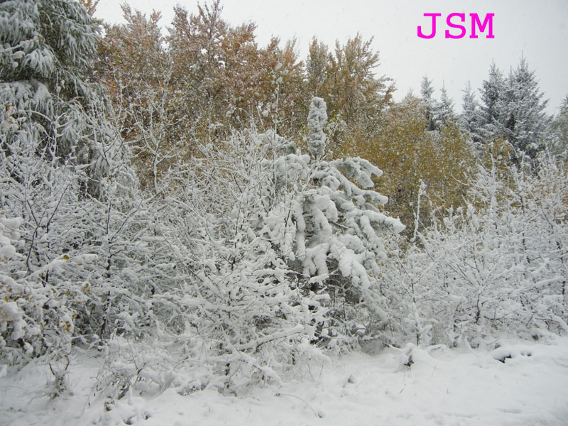 prima passeggiata sulla neve......
