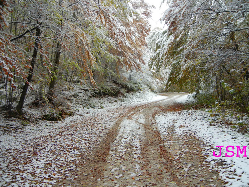 prima passeggiata sulla neve......