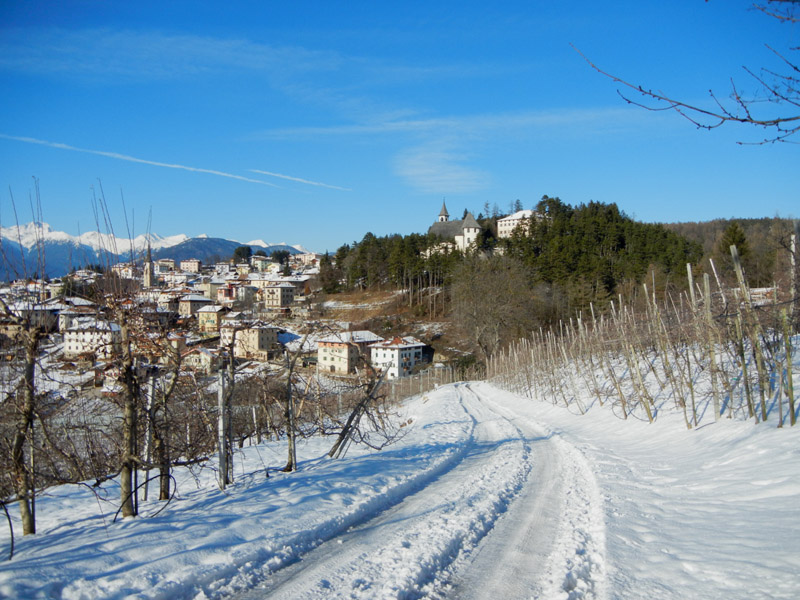 Castelli,Torri e Palazzi.....del Trentino