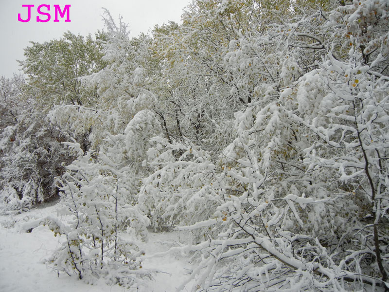 prima passeggiata sulla neve......