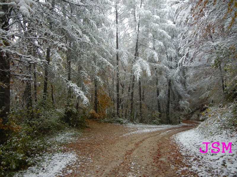 prima passeggiata sulla neve......