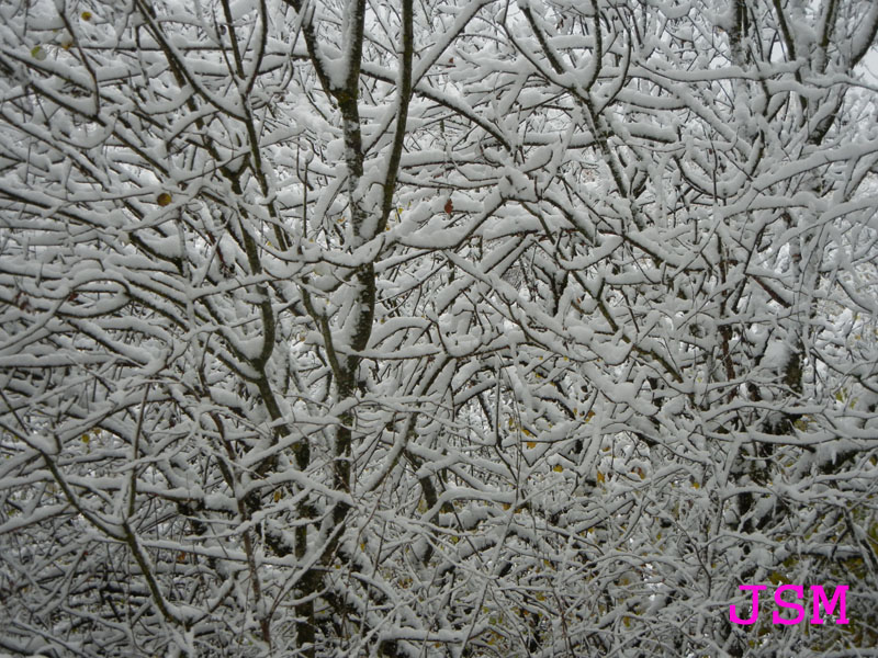 prima passeggiata sulla neve......