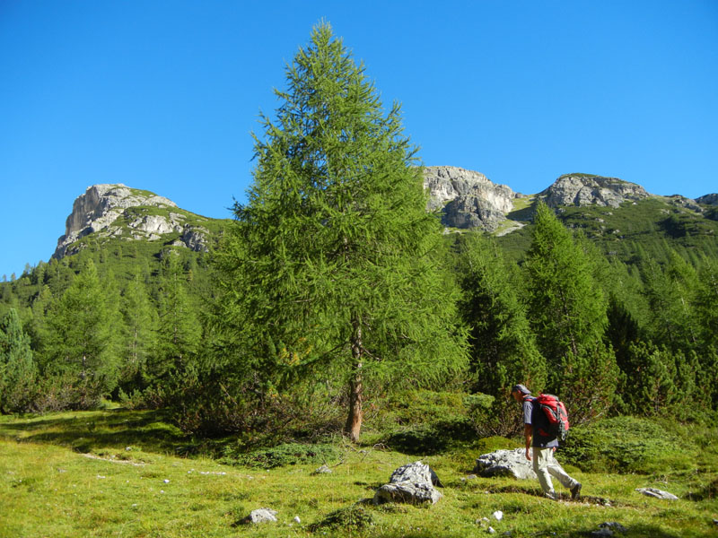 Croda dei Baranci m.2922.....Dolomiti di Sesto