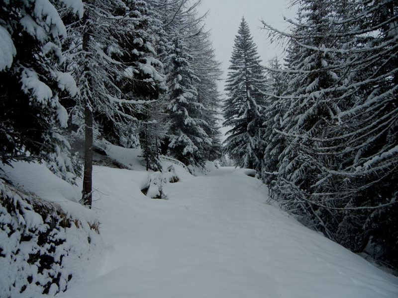 In Valle d''Aosta per 3 giorni....