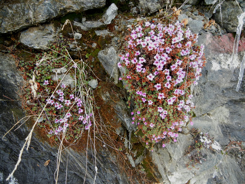 In Valle d''Aosta per 3 giorni....