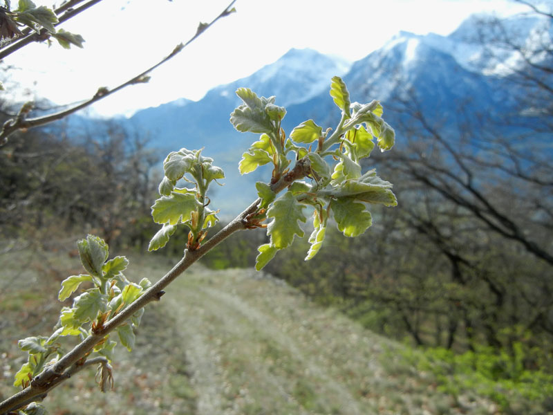 In Valle d''Aosta per 3 giorni....