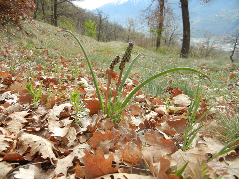 In Valle d''Aosta per 3 giorni....