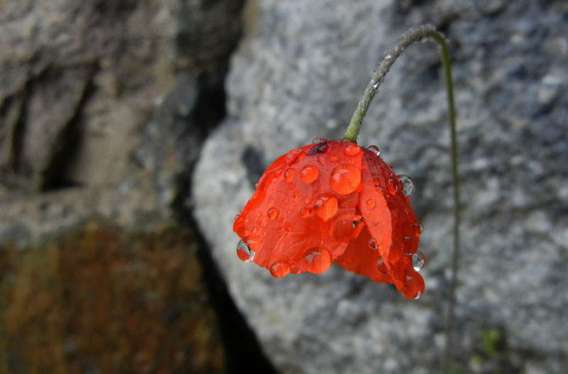 In Valle d''Aosta per 3 giorni....