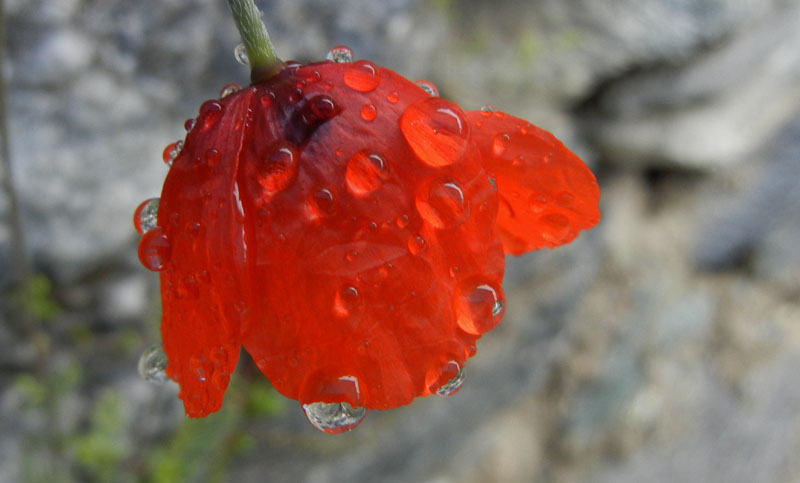 In Valle d''Aosta per 3 giorni....