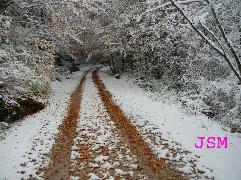 prima passeggiata sulla neve......