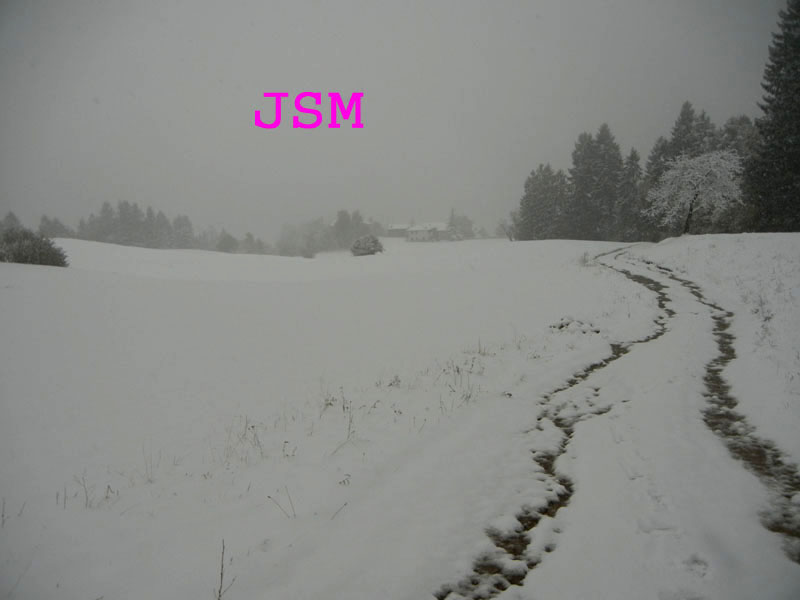 prima passeggiata sulla neve......
