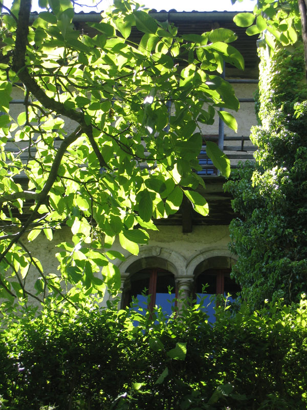 Castelli,Torri e Palazzi.....del Trentino