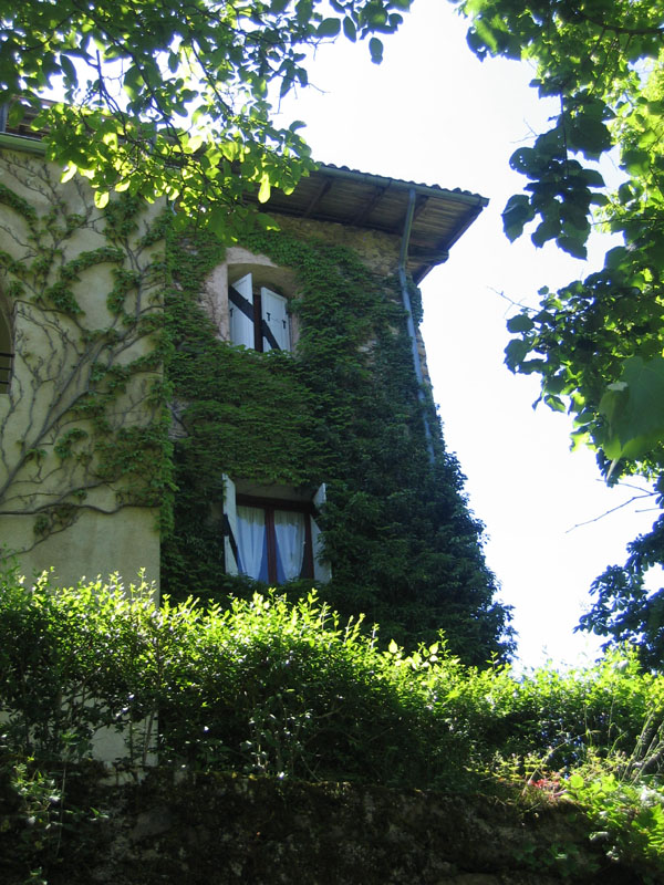 Castelli,Torri e Palazzi.....del Trentino