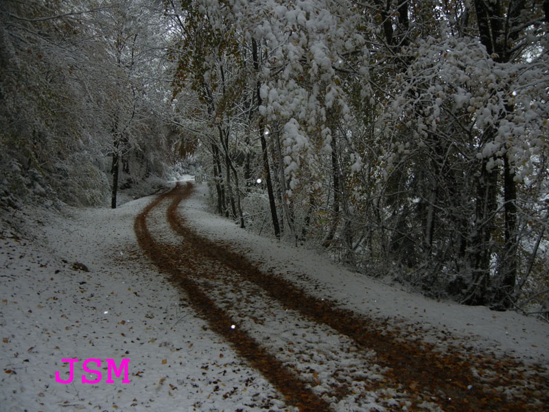 prima passeggiata sulla neve......