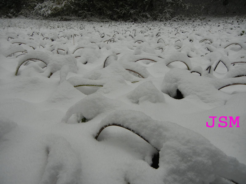 prima passeggiata sulla neve......