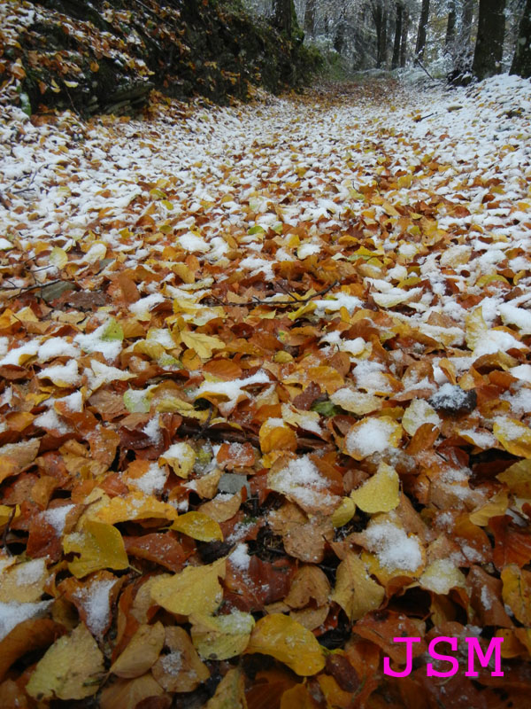 prima passeggiata sulla neve......