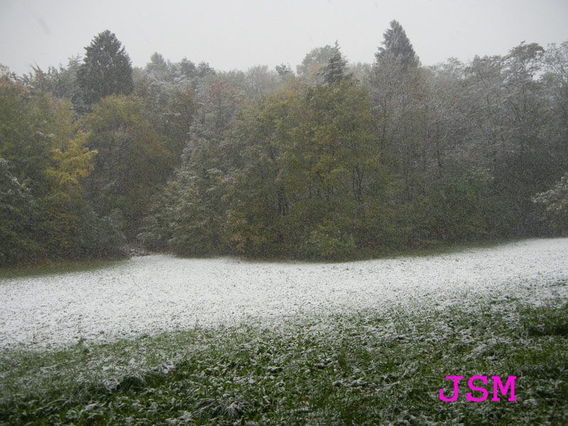 prima passeggiata sulla neve......