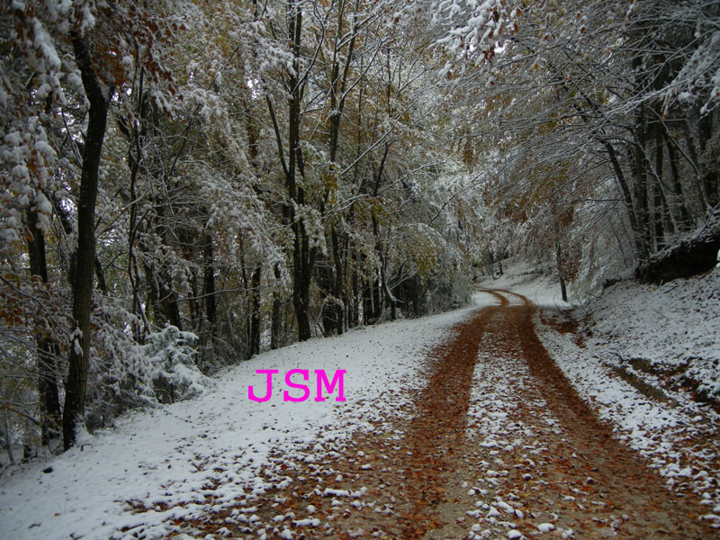 prima passeggiata sulla neve......