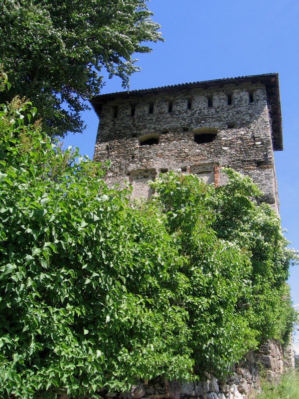 Castelli,Torri e Palazzi.....del Trentino