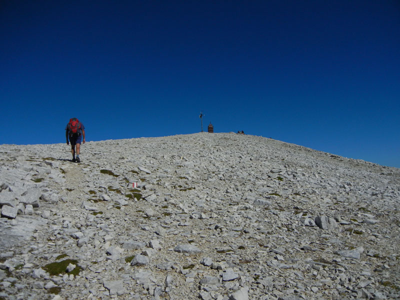 Croda dei Baranci m.2922.....Dolomiti di Sesto