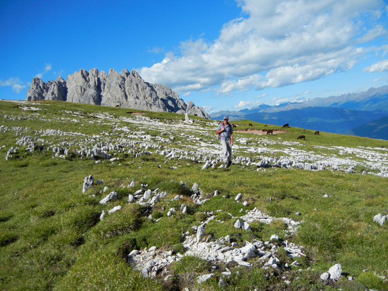 Croda dei Baranci m.2922.....Dolomiti di Sesto