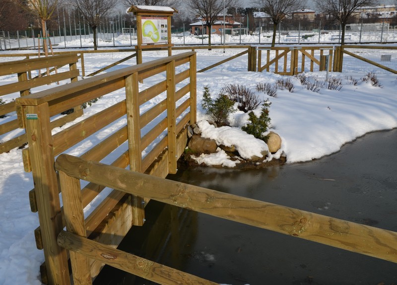 Laghetto a Seregno