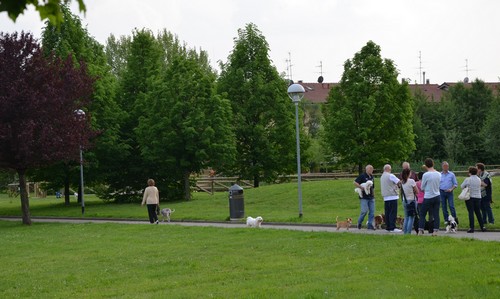 Laghetto a Seregno