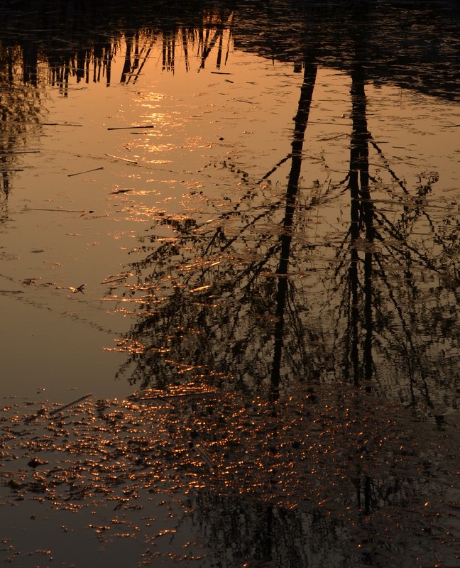 Un mondo riflesso...